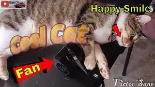 Portable Rechargeable personal garage Fan a Shop Cat tool review