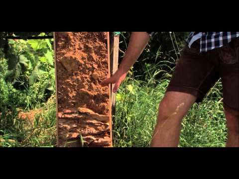 Terroir erleben - Weingut Schauer, Südsteiermark