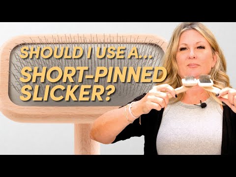 Should I Use… A Short-Pinned Slicker Brush? | Dog...