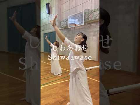【カラーガード】”しわあわせ” Short ver. | Color Guard Team MINERVA