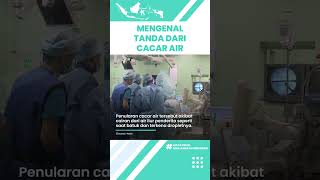 Mengenal Tanda Si Kecil Terkena Penyakit Cacar Air yang Harus Diketahui Orangtua: Demam