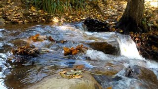 preview picture of video 'Rius del Montseny (rivers from Montseny)'