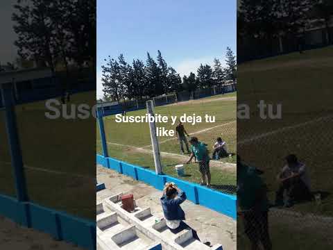 Flor de Ceibo de Oncativo de Córdoba