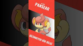 Pansear Yemek Pişiriyor mu? Gurmelik Ne Alaka? 🔥