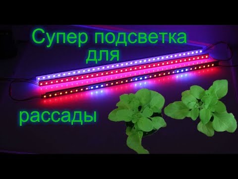 Лампа для подсветки рассады.