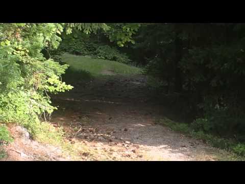 Drumul peste dealuri din Arieseni spre  Spre Ghetarul Scarisoara.