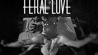 Mr. James March/Evan Peters - Feral Love