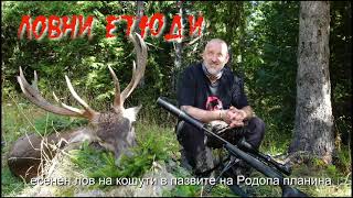 Лов на кошути