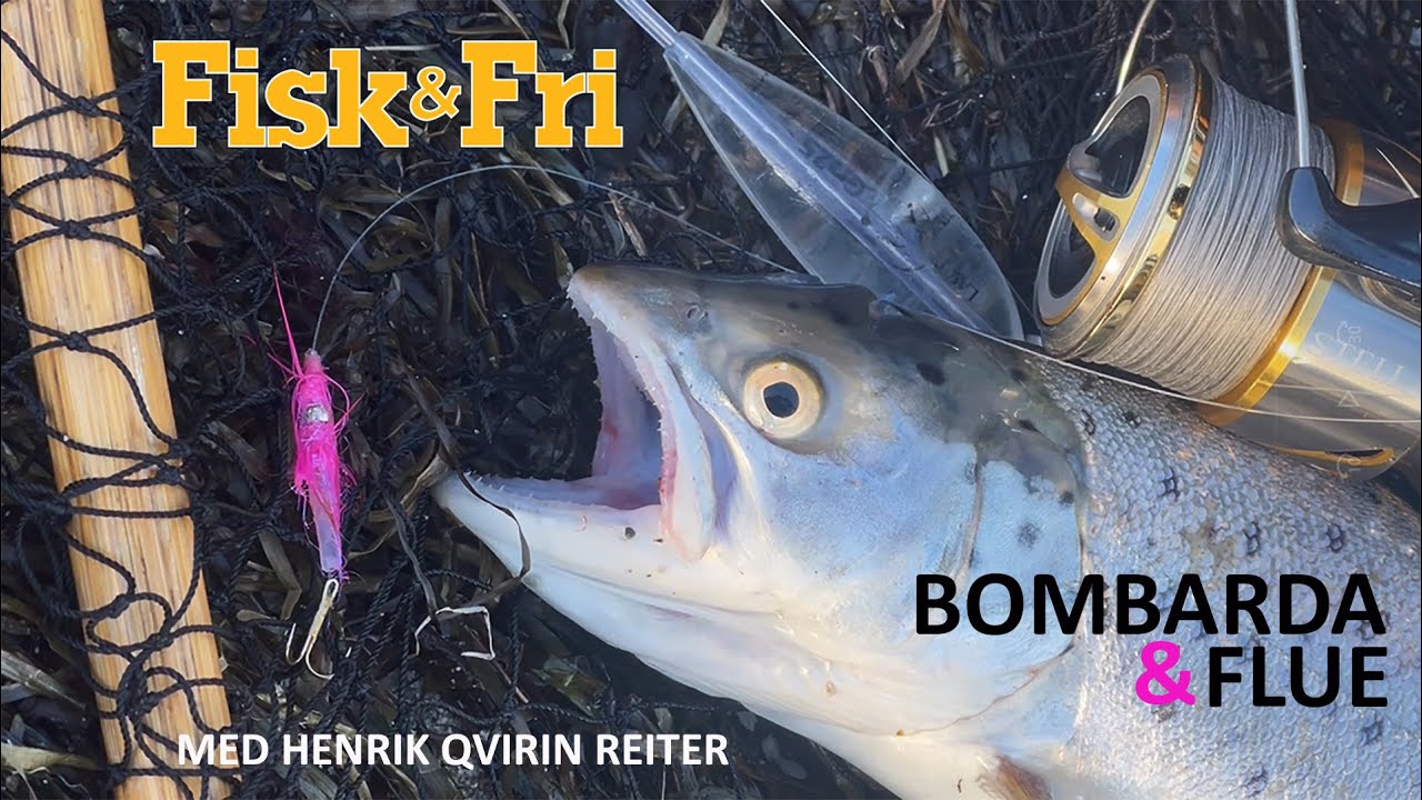 NY KYSTVIDEO: HAVØRRED PÅ BOMBARDA OG FLUE MED HENRIK QVIRIN REITER