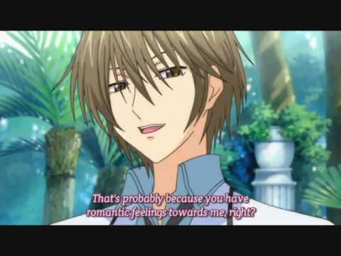 Butterflies Don't Lie