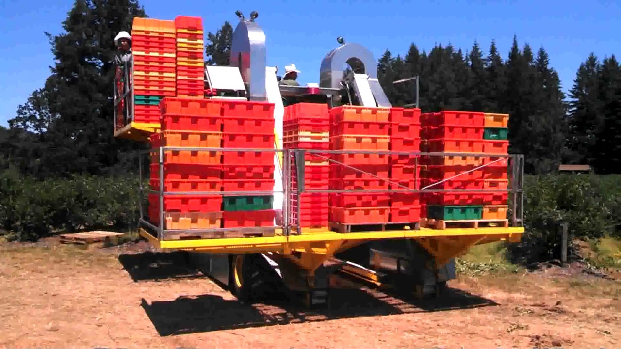 Ягодо-уборочный комбайн Littau Harvester SR