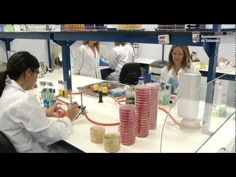 Nuevos Laboratorios de Aquimisa