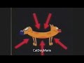 CatDog Missing Tail Promo V1