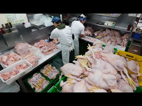 도쿄 시나가와 니시고탄다 닭꼬치 170엔·닭꼬치 덮밥 닭고기 전문점 信濃屋 위치공유