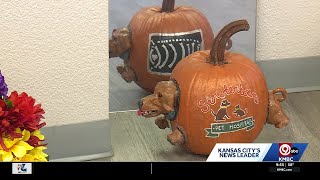 Lee's Summit vet clinic gets community involved in pumpkin contest for a good cause