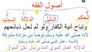 شرح أصول الفقه مع التطبيقات على زاد المستقنع والروض المربع image