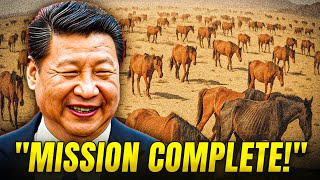 How Wild Horses Are Reviving China’s Deserts