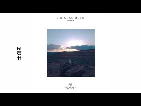 2smile - Loiseau Bleu (MIDH Premiere)