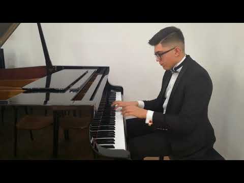 N.A. Rimsky Korsakov - The Flight of the bumblebee - Mihael Timotej Pastonjicki