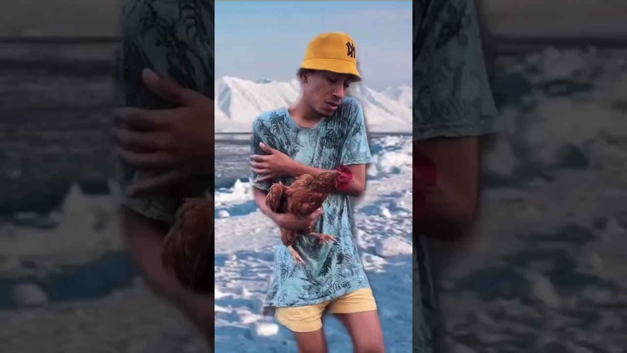 TUTORIAL DE COMO SER UMA FADA feat MINHA GALINHA SKSKSKKS