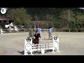 Cheval &agrave; vendre - Magnifique hongre de 11 ans