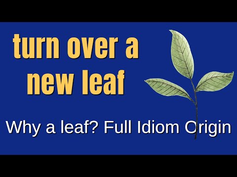 Turn Over a New Leaf | Why a Leaf? | Idiom Meaning and Origin