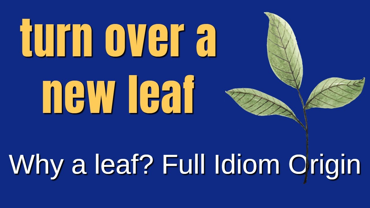 Turn Over a New Leaf | Why a Leaf? | Idiom Meaning and Origin