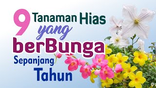 Download lagu 9 Tanaman Hias yang Berbunga Sepanjang Tahun mp3 Download lagu 9 Tanaman Hias yang Berbunga Sepanjang Tahun mp3