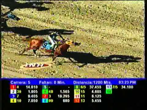 Resumen Sábado, 11 de Enero de 2014 - La Rinconada