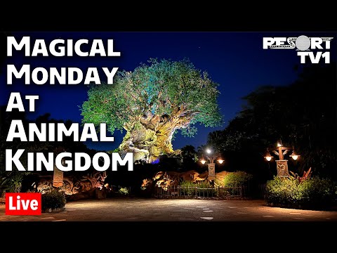 🔴Live: Magical Monday at Animal Kingdom - Walt Disney World Live Stream - 10-17-22