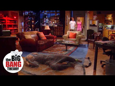 Sheldon is an Intruder | The Big Bang Theory