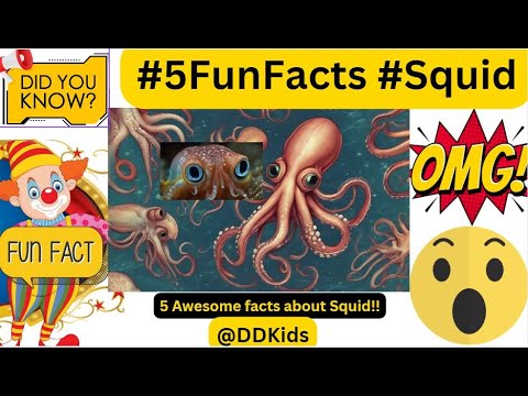 Squid 5 Fun Facts: Exploring the Enigmatic World of Marine Mysteries! #squid #squids #sealife #viral