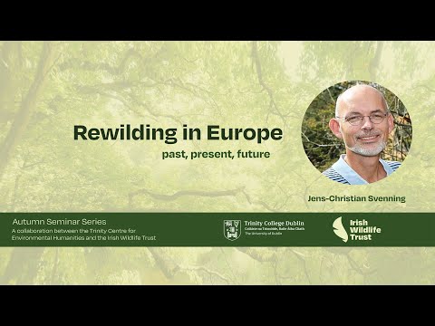 Rewilding in Europe | Past, Present, Future