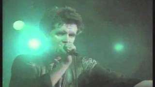 aRunrig   Eirinn Ireland