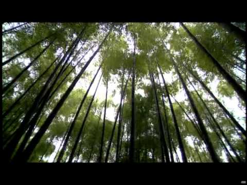 行政院農業委員會農業金融局簡介(國語標準版)