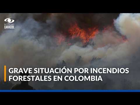 Incendios forestales en Colombia: en Boyacá ya son 1.340 las hectáreas afectadas