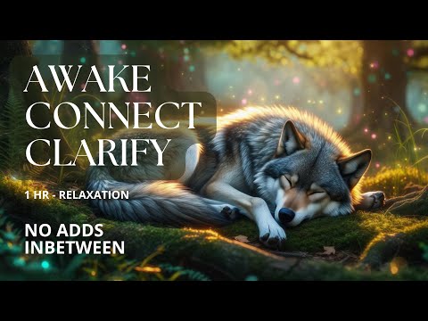 Silver Wolf Awakens 🌄 | 1-Hour Morning Forest Music for Calm, Clarity & Emotional Balance