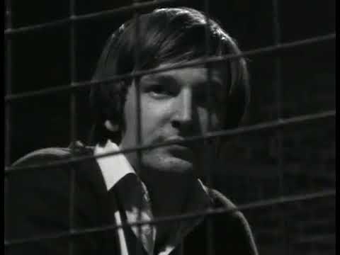 Tocotronic – Sailorman