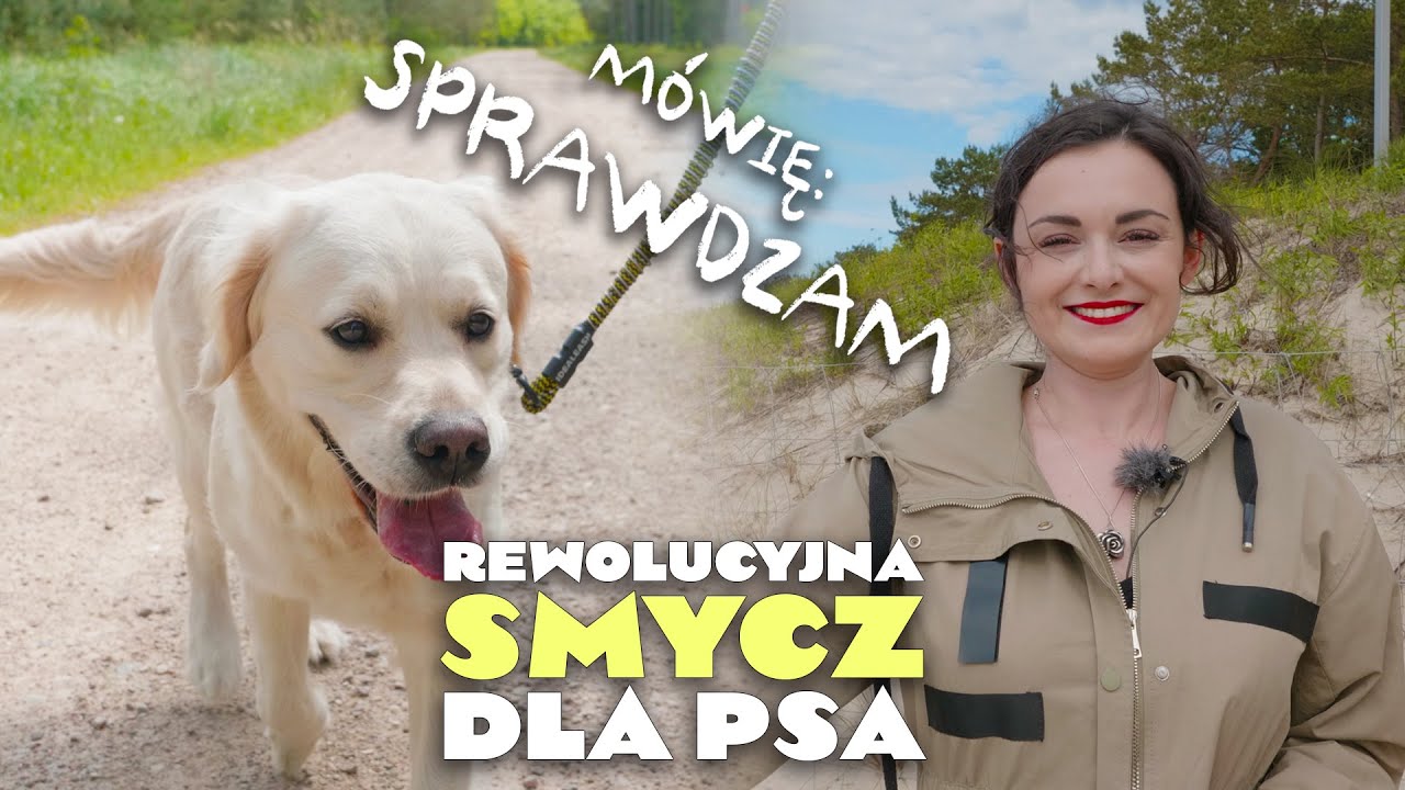 Smycz, która oduczy psa ciągnięcia i szarpania | MÓWIĘ: SPRAWDZAM! #9