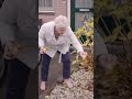 ? NOOIT meer LAST van KATTENPOEP in je tuin! #shorts #lifehacks #katten