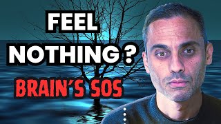 Download lagu Anhedonia: Why You Feel Nothing — And How to Get Your Joy Back mp3