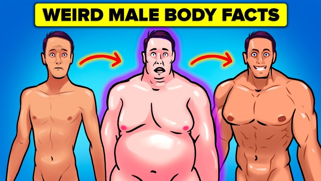 Weird Facts About Male Body You Didn't Know
