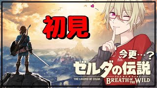 【初見プレイ】8年前のゲームってマ…？積んでたゲームやる！！！＃１８【ゼルダの伝説ブレス オブ ザ ワイルド】