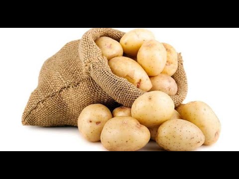 La secte des Patates