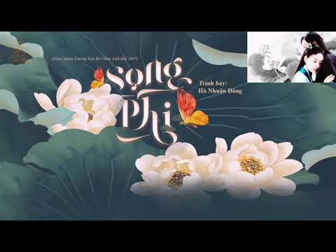 Song Phi 双飞 - Karaoke | Hà Nhuận Đông | ShuangFei Vietsub