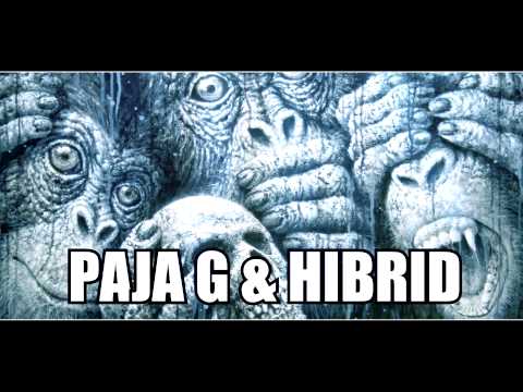 Wanted Paja - G feat Hibrid - Becsület / 2015
