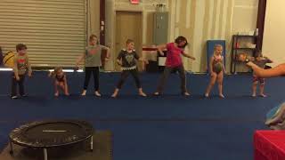 My First Year as a ZIN!