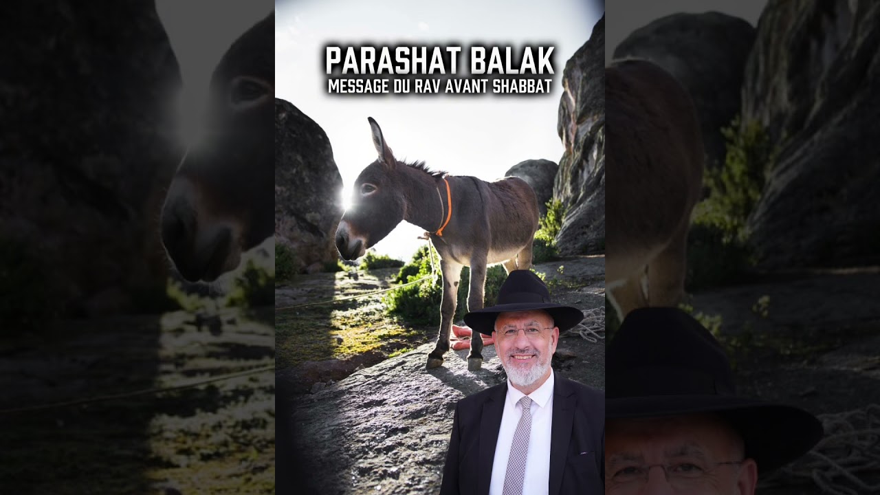 Parashat Balak  👉🏼 Message du Rav avant Shabbat