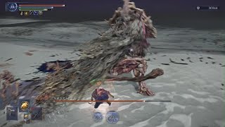 深度5 ストラゲス　ステゴロ