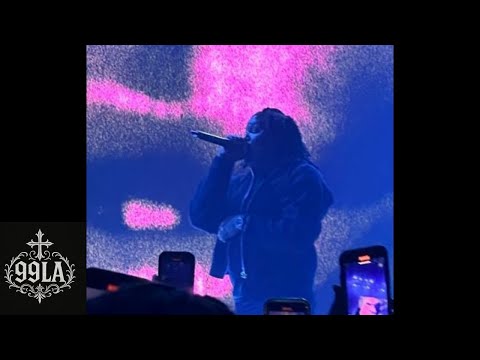 [FREE] Lucki x Veeze Type Beat "P!nk Soda"